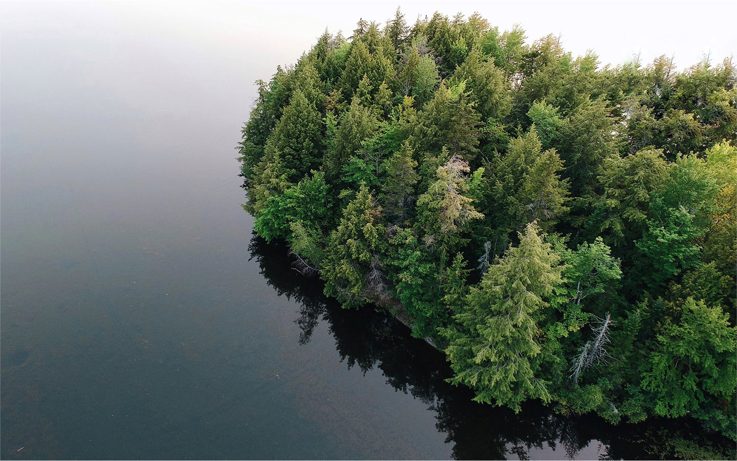 Lake Denison island