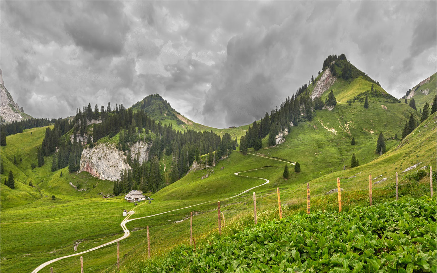 Pays-dEnhaut, GruyÃ¨res